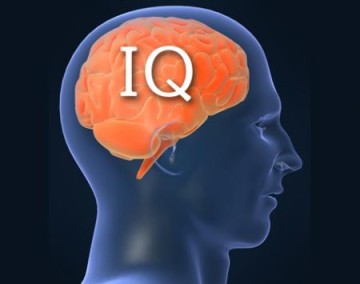 IQ full form