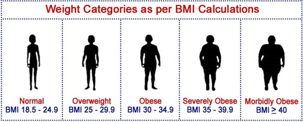 29 bmi Adult BMI