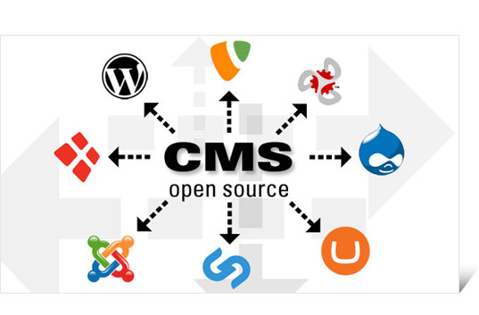 Content Management System- CMS