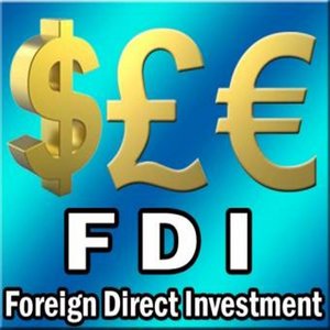 FDI full form